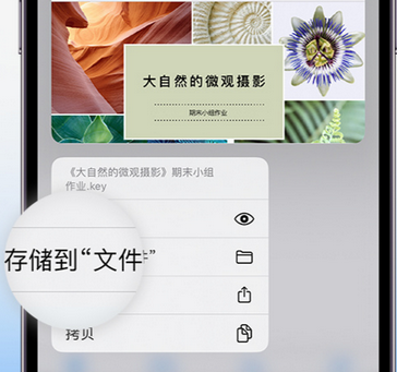 万秀apple维修中心分享iPhone文件应用中存储和找到下载文件