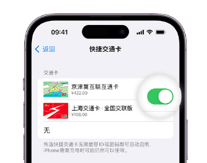 万秀apple维修点分享iPhone上更换Apple Pay快捷交通卡手绘卡面 