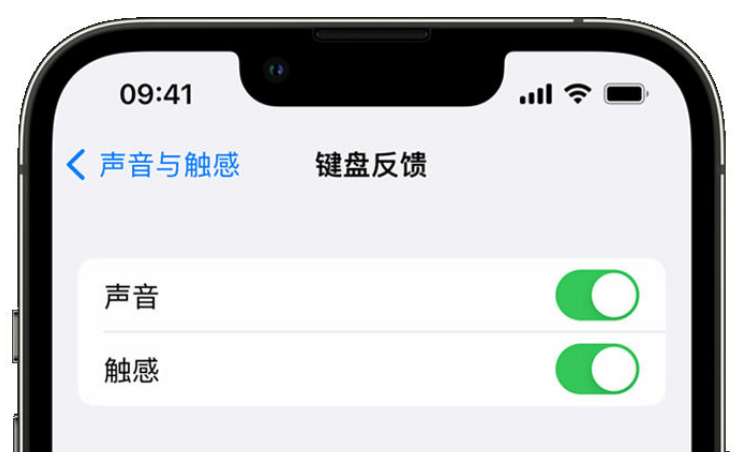 万秀苹果手机维修分享iPhone 14触感键盘使用方法 