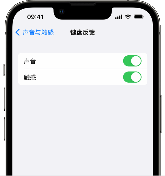 万秀苹果14维修店分享如何在 iPhone 14 机型中使用触感键盘 