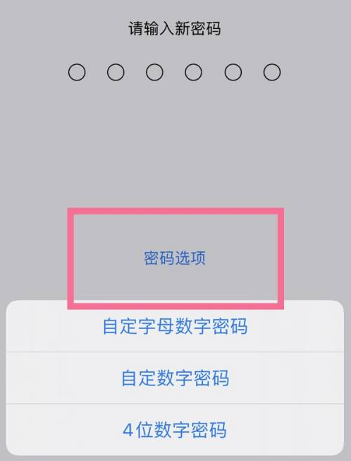 万秀苹果14维修分享iPhone 14plus设置密码的方法 