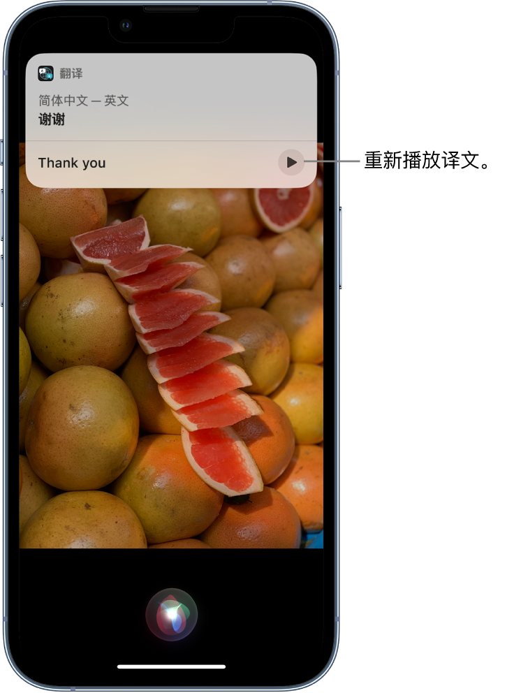 万秀苹果14维修分享 iPhone 14 机型中使用 Siri：了解 Siri 能帮你做什么 