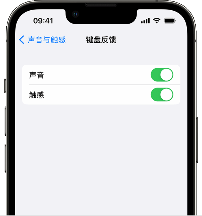 万秀苹果14维修分享iPhone 14 系列机型如何开启键盘声音或触感反馈 