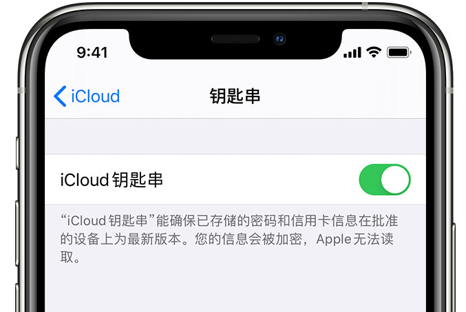 万秀苹果手机维修分享在 iPhone 上开启 iCloud 钥匙串之后会储存哪些信息 