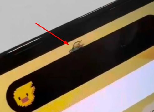 万秀苹果14维修分享iPhone 14 Pro Max灵动岛怎么养宠物 