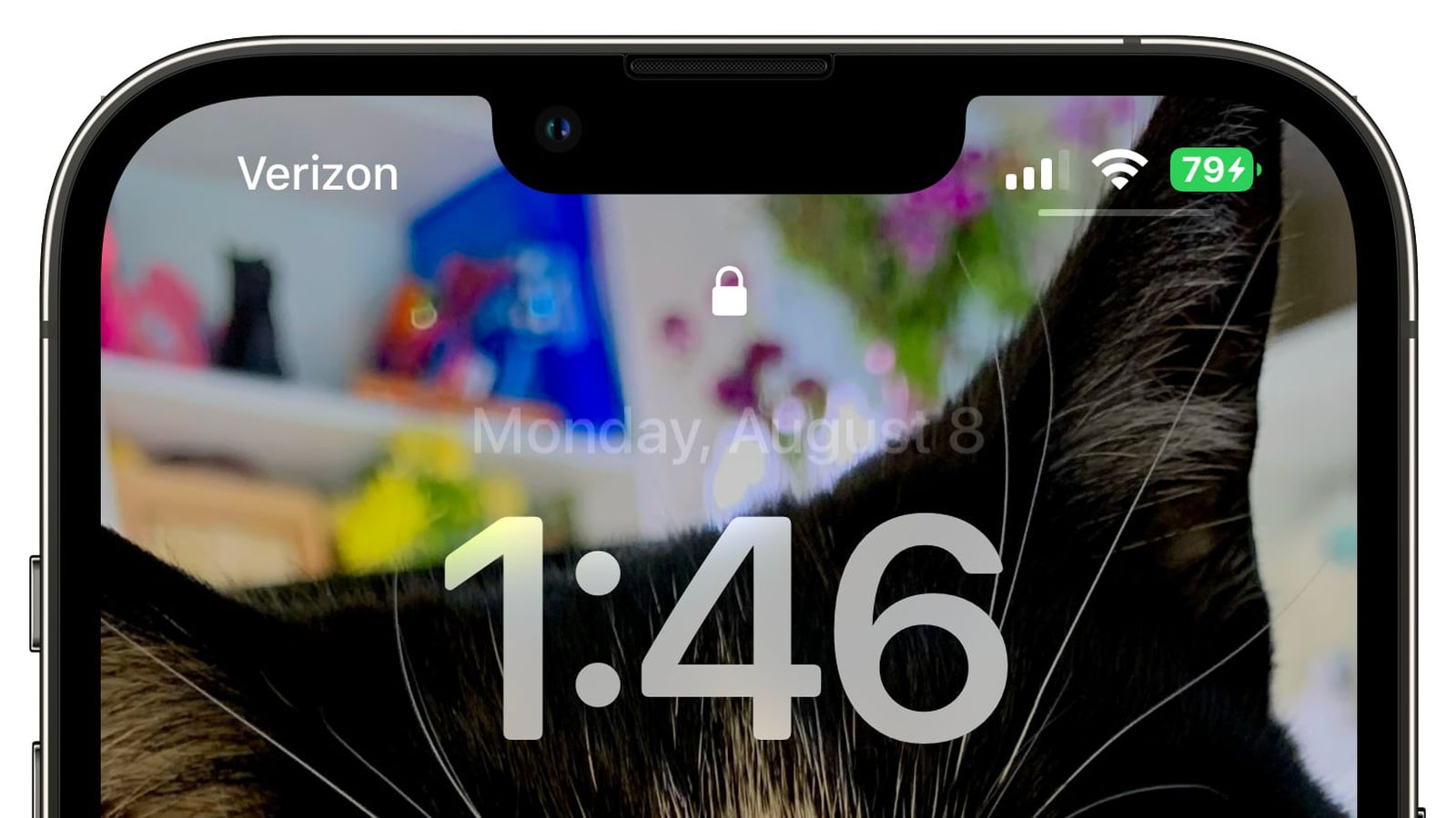万秀苹果手机维修分享iOS 16 beta 5 支持状态栏显示电池百分比，如何开启？支持哪些机型 