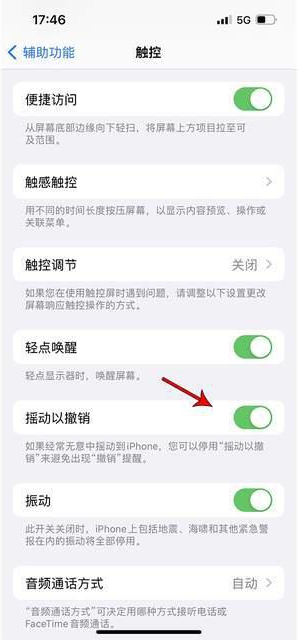 万秀苹果手机维修分享iPhone手机如何设置摇一摇删除文字 