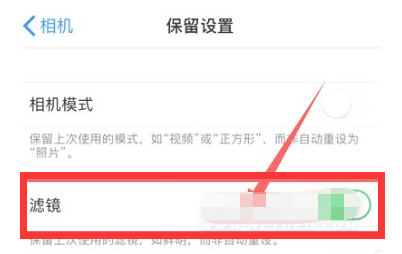 万秀苹果13维修分享iPhone13拍照有绿点是怎么回事 