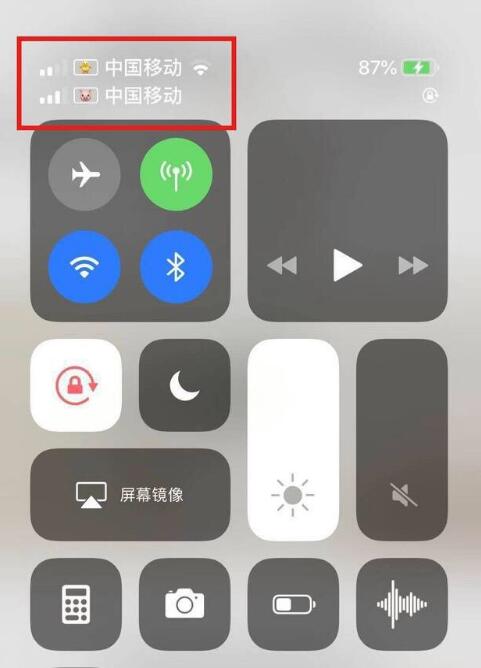 万秀苹果手机维修分享为 iPhone 12 双卡设置标签 