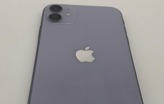 万秀苹果11系统维修分享iPhone11手机系统崩溃无法开机如何解决